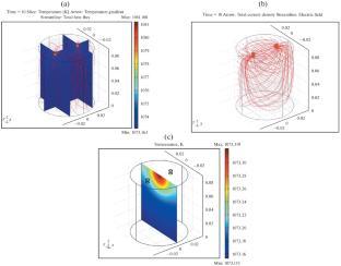 Three-Dimensional Modeling of Features of the Distribution of Electric and Thermal Fields during Conductive Electric Current Treatment of Melts