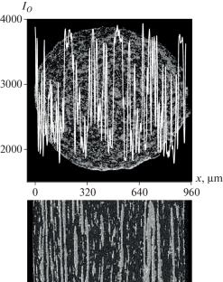 Self-Organization Initiated by Shear Flow of Mixtures of Polymer Melts