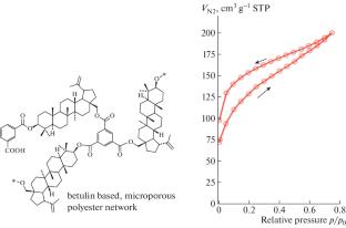 Revisiting the Problem of Adsorption/Desorption Isotherms on Hypercrosslinked Polymers