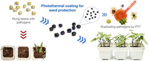 Cellulose-Based Photothermal Coating: A Sustainable Solution for Seed Protection and Long-Term Grain Storage