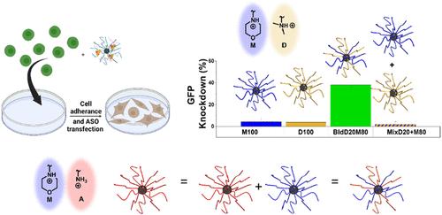 Blended Block Polycation Micelles Enhance Antisense Oligonucleotide Delivery