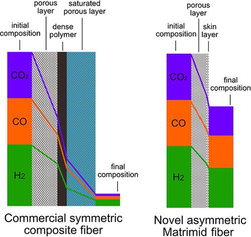 Evaluation of the Permeation of Syngas and Its Components through a Synthesized Matrimid Asymmetric Hollow-Fiber Membrane