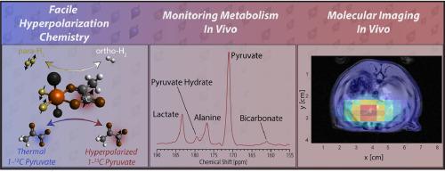 Facile hyperpolarization chemistry for molecular imaging and metabolic tracking of [1–13C]pyruvate in vivo