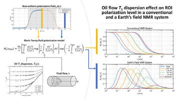 Modelling of T1 dispersion effects on fluid polarization in oil flow