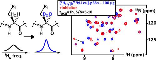 Affordable amino acid α/β-deuteration and specific labeling for NMR signal enhancement: Evaluation on the kinase p38α