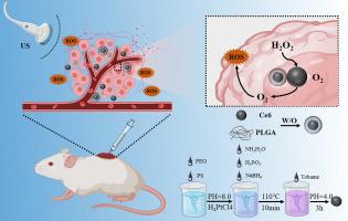 Enhancement of sonodynamic treatment of ovarian cancer based on Pt-B-P ternary nanoparticles