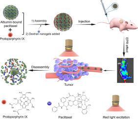 Protoporphyrin IX-loaded albumin nanoparticles reverse cancer chemoresistance by enhancing intracellular reactive oxygen species