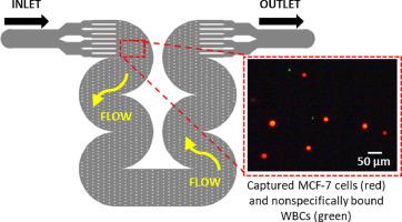 Design of a microfluidic device for immunoaffinity-based isolation of circulating tumor cells with minimal clogging