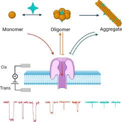 Patterning amyloid-β aggregation under the effect of acetylcholinesterase using a biological nanopore - an in vitro study