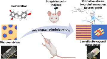 Intranasal in situ gelling liquid crystal for delivery of resveratrol ameliorates memory and neuroinflammation in Alzheimer's disease