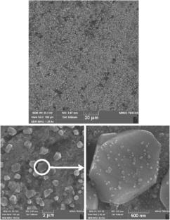 Photocatalytic Activity of Electrochemically Formed Ag2O in the Process of CO2 Reduction with Water Vapor Under the Effect of Visible Light