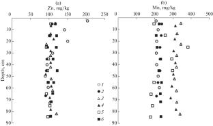 Heavy Metals and Organic Carbon in the Bottom Sediments of Shallow Bights of the Peter the Great Bay