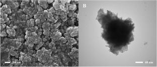 Adsorption Characteristic of Methyl Blue onto Magnetic CaFe2O4 Nanoparticles Prepared via the Ethanol-Assisted Combustion Process