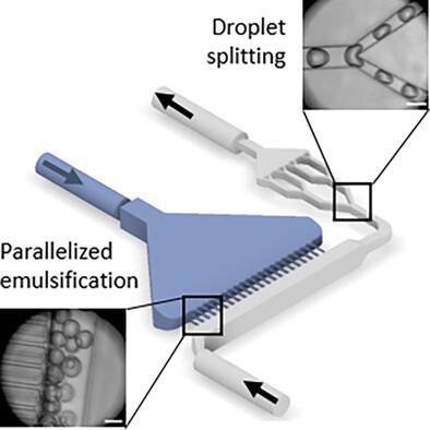 Combining parallelized emulsion formation and sequential droplet splitting for large-scale polymer microgel production