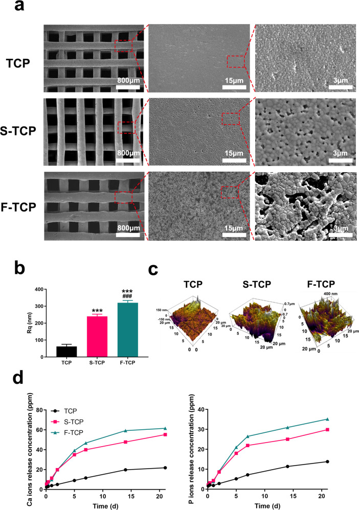 Beta-TCP scaffolds with rationally designed macro-micro hierarchical structure improved angio/osteo-genesis capability for bone regeneration