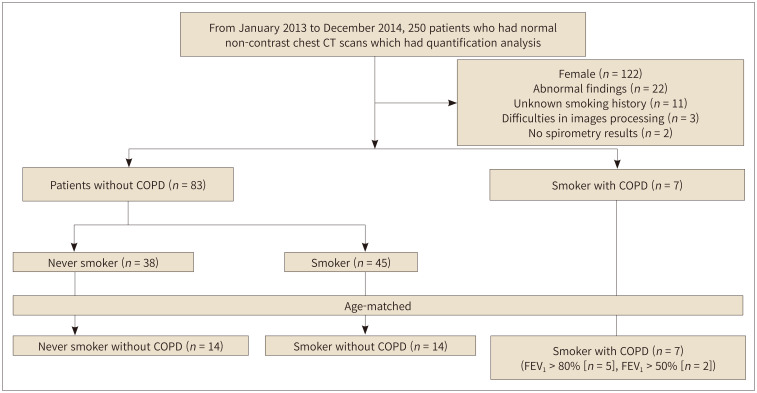 Quantitative CT Analysis Based on Smoking Habits and Chronic Obstructive Pulmonary Disease in Patients with Normal Chest CT.