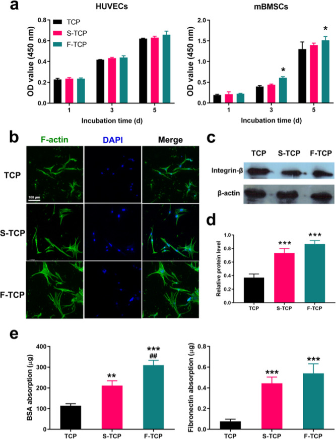 Beta-TCP scaffolds with rationally designed macro-micro hierarchical structure improved angio/osteo-genesis capability for bone regeneration