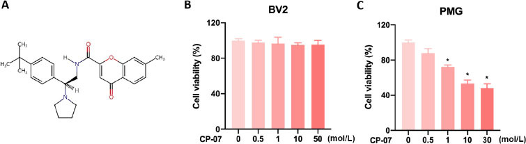 A newly-synthesized compound CP-07 alleviates microglia-mediated neuroinflammation and ischemic brain injury via inhibiting STAT3 phosphorylation.