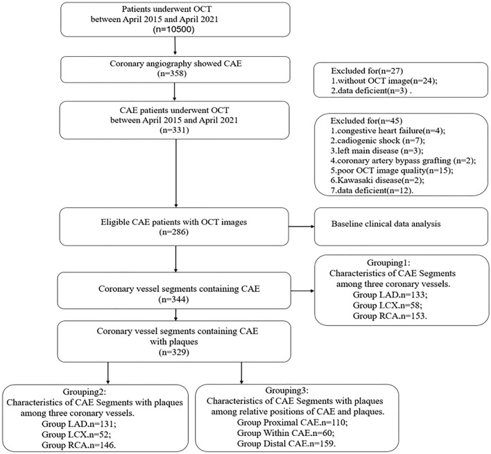 Characteristics of coronary artery ectasia and accompanying plaques: an optical coherence tomography study.