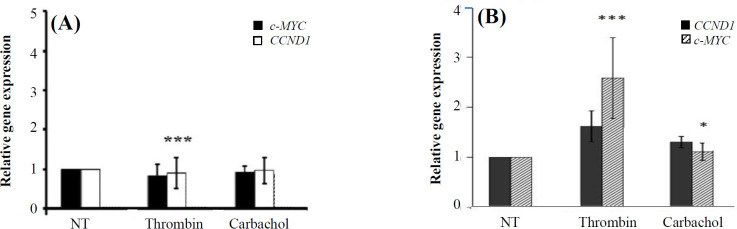 Gαq Signaling Activates β-Catenin-Dependent Gene Transcription