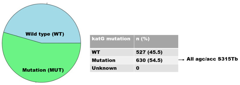 The Detection of Mutations and Genotyping of Drug-Resistant <i>Mycobacterium tuberculosis</i> Strains Isolated from Patients in the Rural Eastern Cape Province.