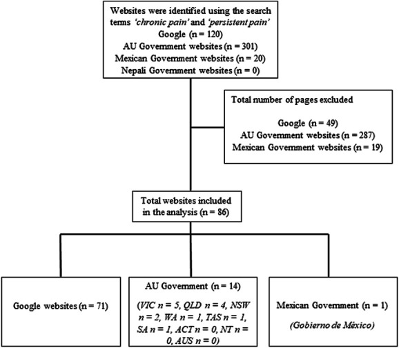 Online information on chronic pain in 3 countries: an assessment of readability, credibility, and accuracy.