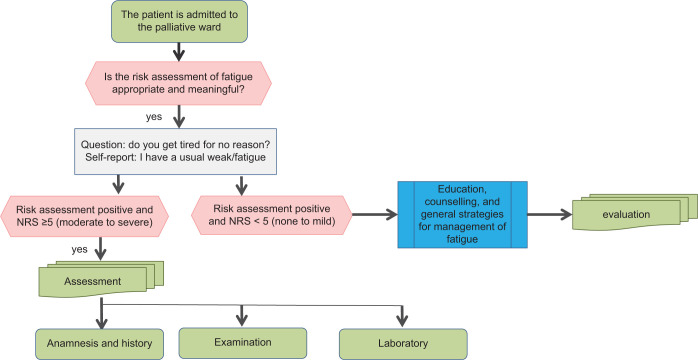 Development of Care Pathway for Assessment and Treatment of Fatigue in Palliative Care.