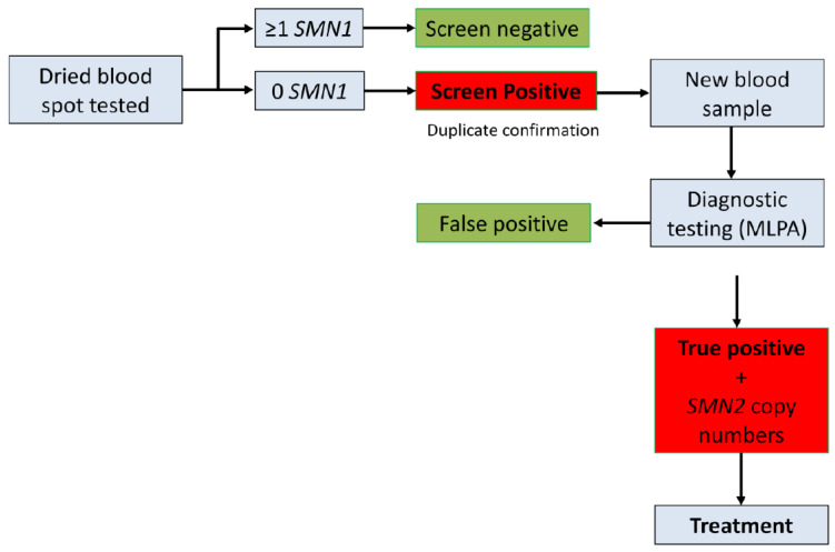 Alberta Spinal Muscular Atrophy Newborn Screening-Results from Year 1 Pilot Project.