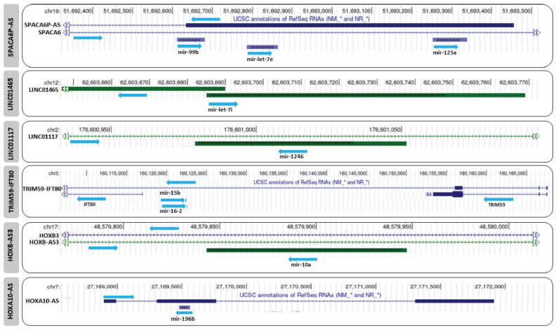 Crosstalk between Long Non-Coding RNA and Spliceosomal microRNA as a Novel Biomarker for Cancer.