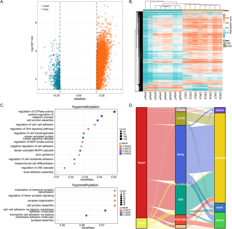 Genome-wide discovery of circulating cell-free DNA methylation biomarkers for colorectal cancer detection.