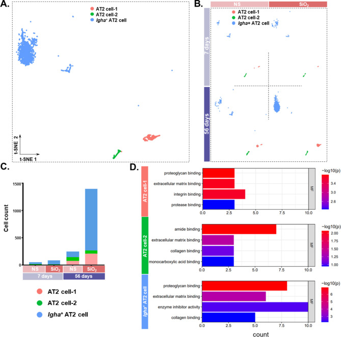 Single-cell transcriptome sequencing-based analysis: probing the mechanisms of glycoprotein NMB regulation of epithelial cells involved in silicosis.