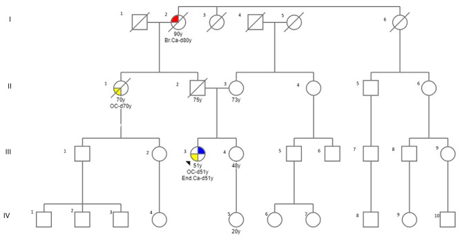 Lynch-like syndrome with germline WRN mutation in Bulgarian patient with synchronous endometrial and ovarian cancer.