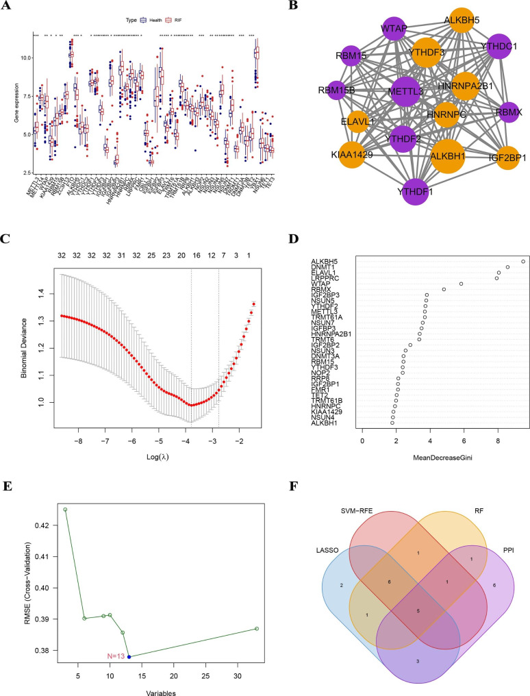 Significance of methylation-related genes in diagnosis and subtype classification of renal interstitial fibrosis.