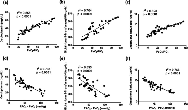 Alteration of circulating redox balance in coronavirus disease-19-induced acute respiratory distress syndrome.