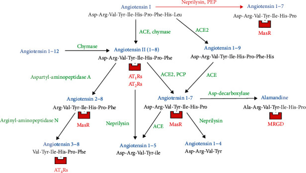 New Viral Diseases and New Possible Remedies by Means of the Pharmacology of the Renin-Angiotensin System.