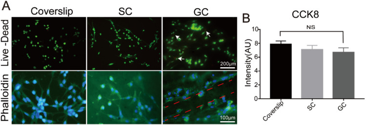 A grooved conduit combined with decellularized tissues for peripheral nerve regeneration