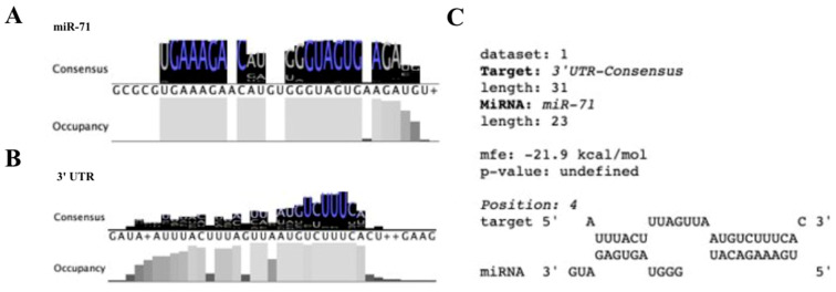 Conservation and Targets of miR-71: A Systematic Review and Meta-Analysis.