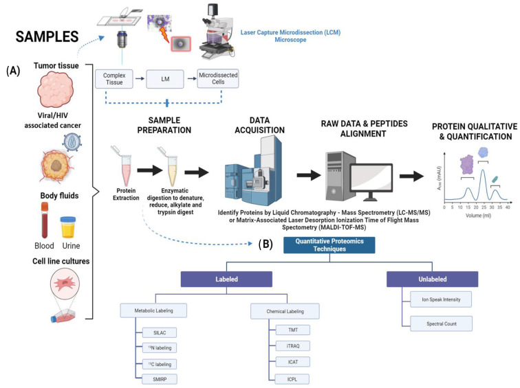 Oncogenic Proteomics Approaches for Translational Research and HIV-Associated Malignancy Mechanisms.