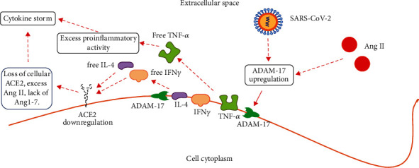 New Viral Diseases and New Possible Remedies by Means of the Pharmacology of the Renin-Angiotensin System.