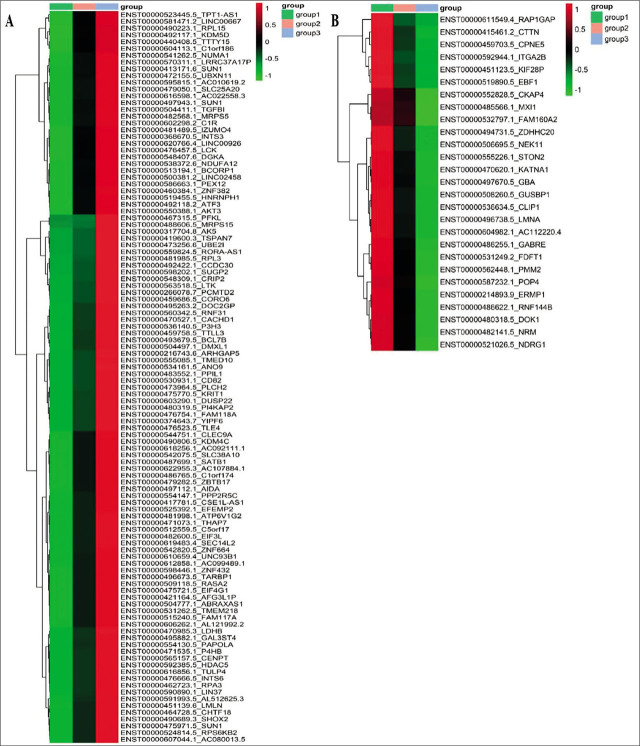 Differentially Expressed Circulating Long-Noncoding RNAS in Premature Infants with Respiratory Distress Syndrome.