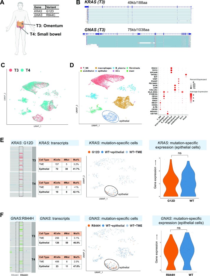 Single-cell multi-gene identification of somatic mutations and gene rearrangements in cancer.