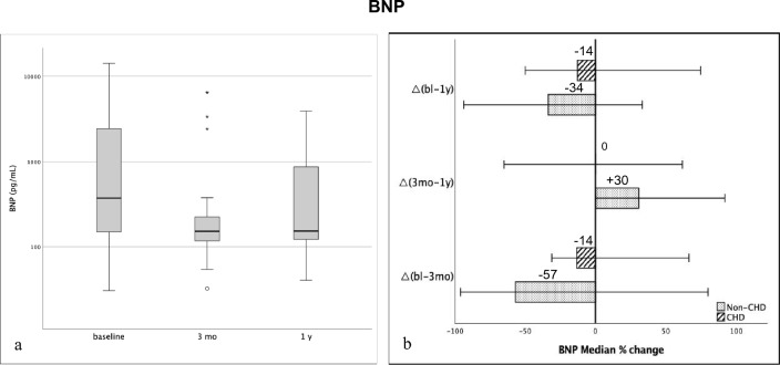 Macitentan in the Young-Mid-term Outcomes of Patients with Pulmonary Hypertensive Vascular Disease treated in a Pediatric Tertiary Care Center.