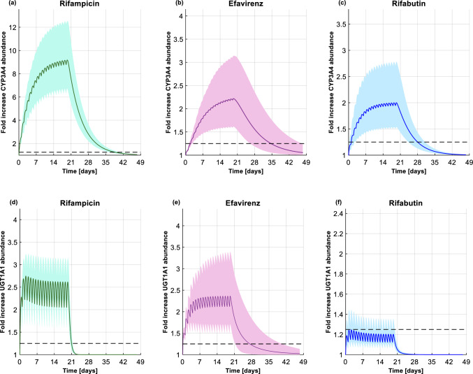 Management of Drug Interactions with Inducers: Onset and Disappearance of Induction on Cytochrome P450 3A4 and Uridine Diphosphate Glucuronosyltransferase 1A1 Substrates.