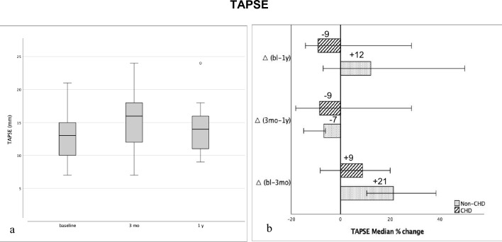 Macitentan in the Young-Mid-term Outcomes of Patients with Pulmonary Hypertensive Vascular Disease treated in a Pediatric Tertiary Care Center.