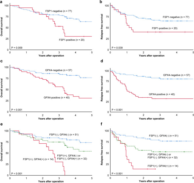 Simultaneous regulation of ferroptosis suppressor protein 1 and glutathione peroxidase 4 as a new therapeutic strategy of ferroptosis for esophageal squamous cell carcinoma.