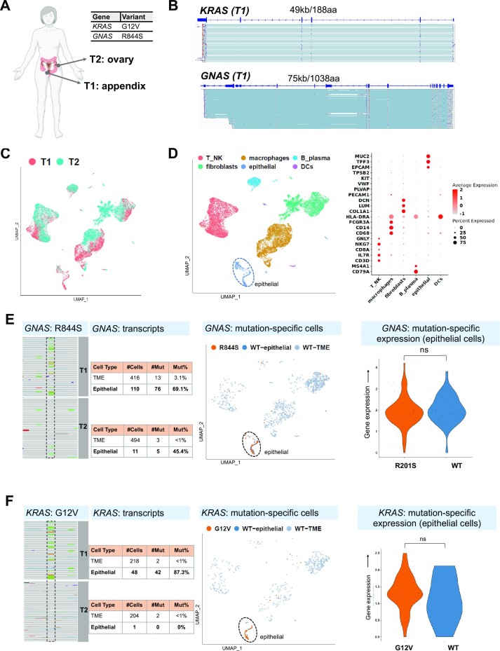 Single-cell multi-gene identification of somatic mutations and gene rearrangements in cancer.