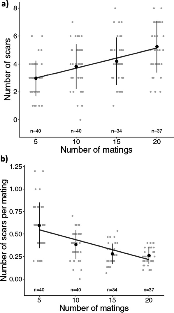 Age-related mating rates among ecologically distinct lineages of bedbugs, Cimex lectularius.