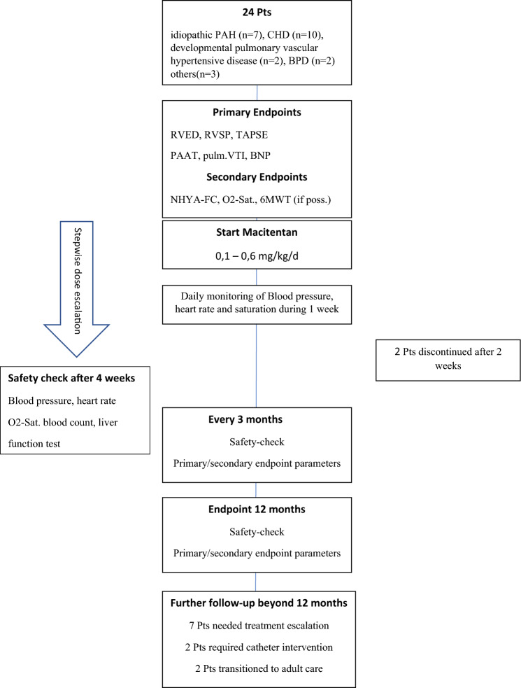 Macitentan in the Young-Mid-term Outcomes of Patients with Pulmonary Hypertensive Vascular Disease treated in a Pediatric Tertiary Care Center.