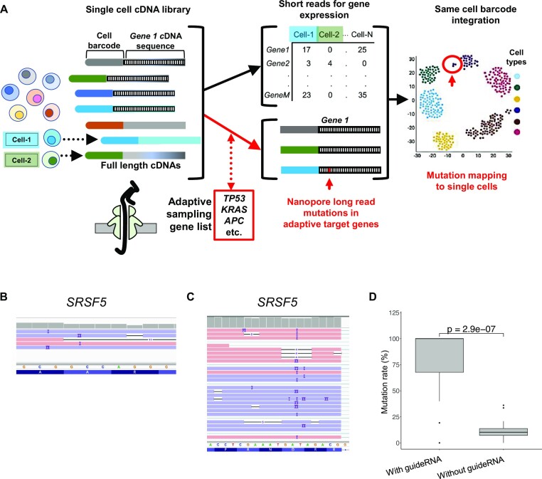 Single-cell multi-gene identification of somatic mutations and gene rearrangements in cancer.