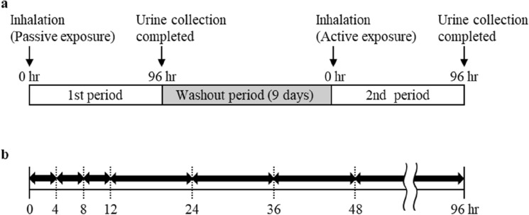 Urinary profiles of methoxyphenamine and its metabolite after inhalation of methoxyphenamine smoke in humans: aiming to distinguish between active and passive exposure.